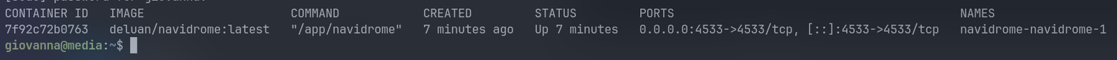docker ps com o container de pé na porta 4533